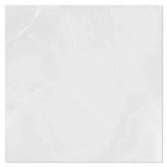 Klinker Selene Ljusgrå Blank-Polerad Rak 60x60 cm